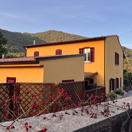 B&B La Fucinaia Pet Friendly Adults Only Campiglia Marittima Exteriör bild
