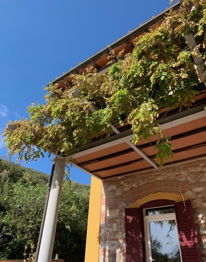 B&B La Fucinaia Pet Friendly Adults Only Campiglia Marittima Exteriör bild
