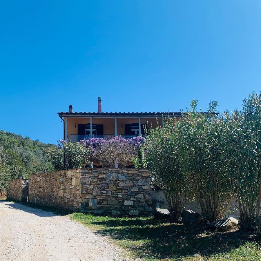 B&B La Fucinaia Pet Friendly Adults Only Campiglia Marittima Exteriör bild
