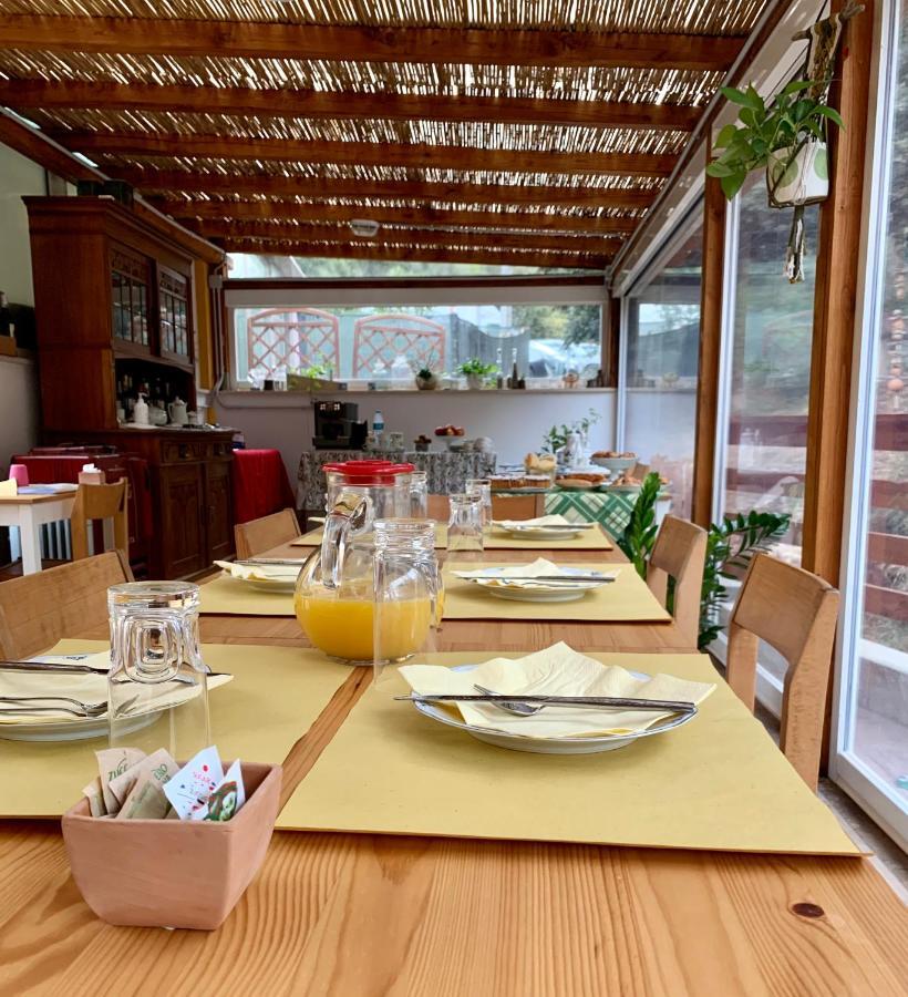 B&B La Fucinaia Pet Friendly Adults Only Campiglia Marittima Exteriör bild