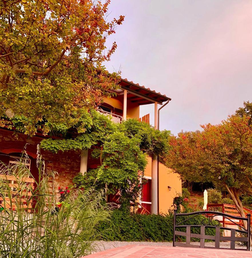 B&B La Fucinaia Pet Friendly Adults Only Campiglia Marittima Exteriör bild