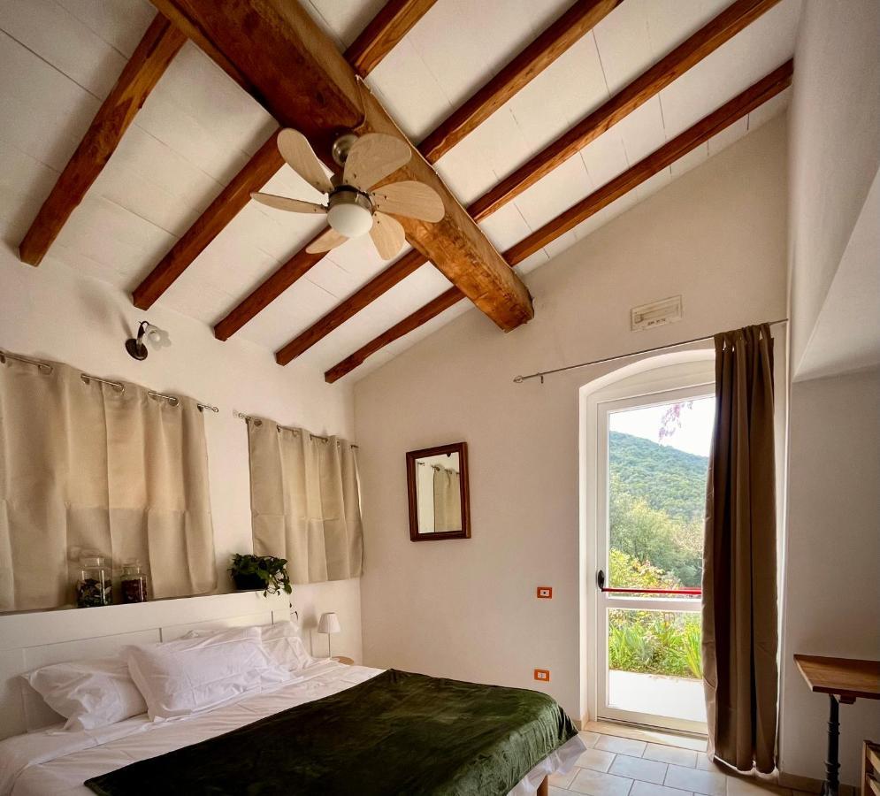 B&B La Fucinaia Pet Friendly Adults Only Campiglia Marittima Exteriör bild