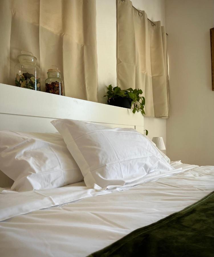 B&B La Fucinaia Pet Friendly Adults Only Campiglia Marittima Exteriör bild