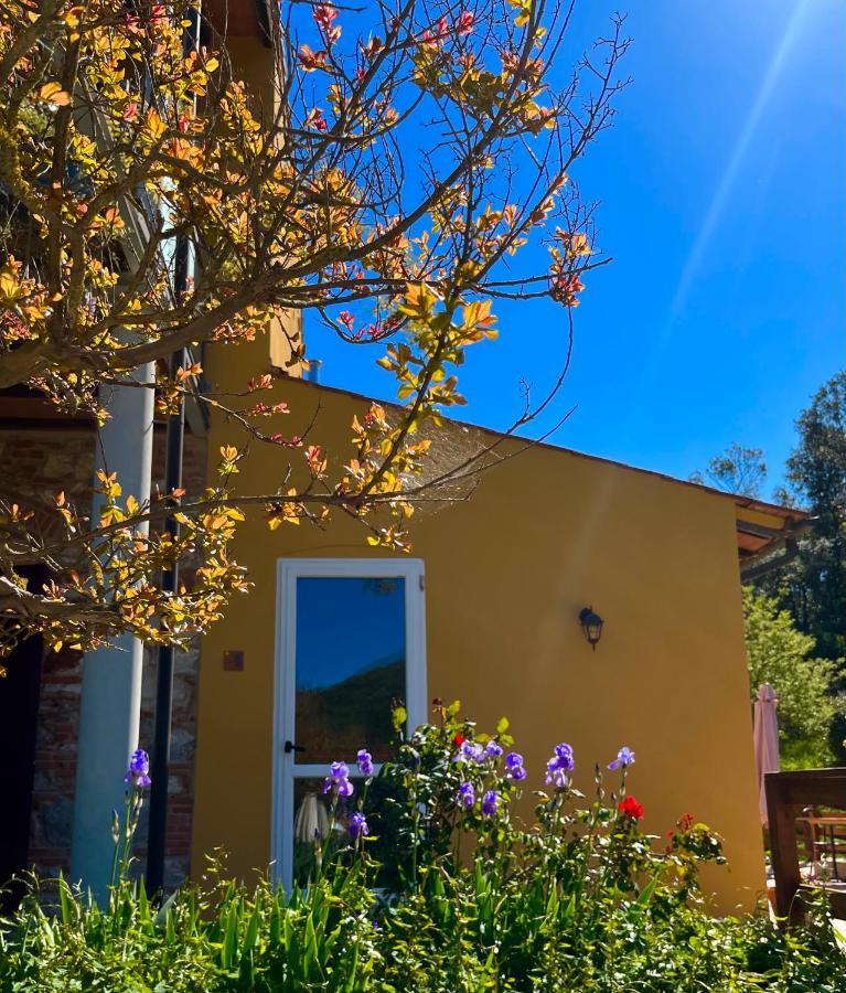 B&B La Fucinaia Pet Friendly Adults Only Campiglia Marittima Exteriör bild