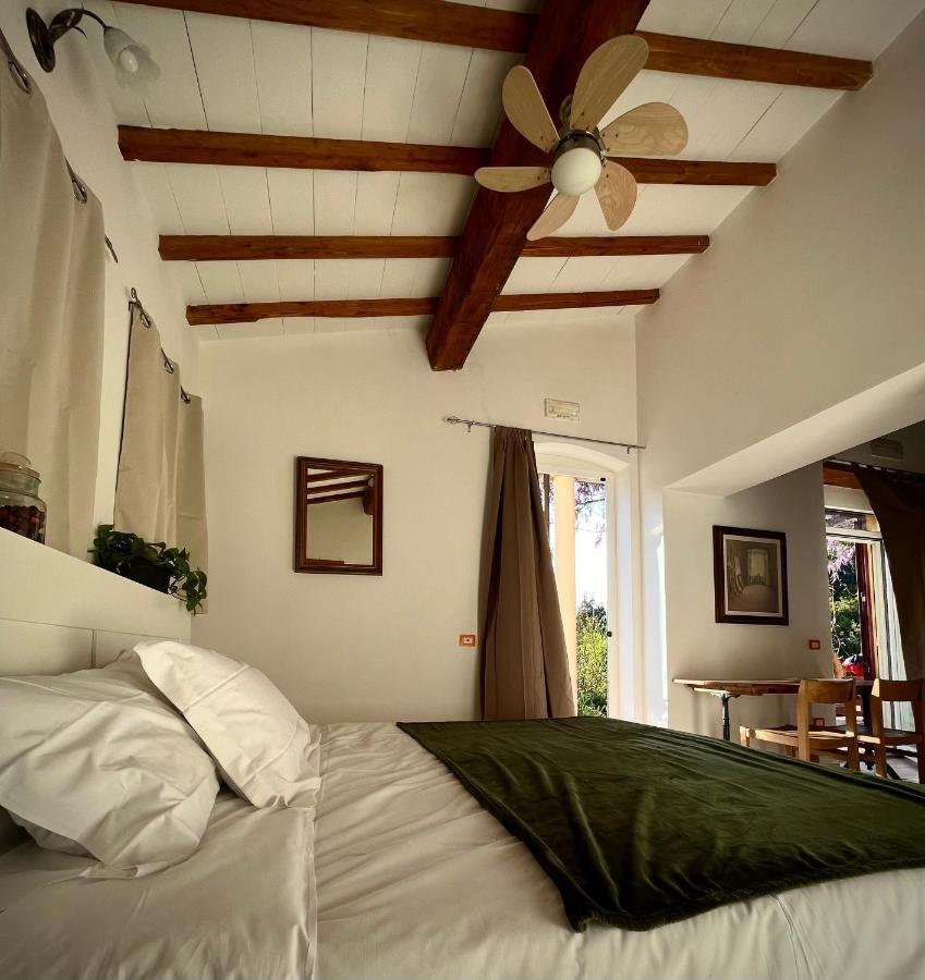 B&B La Fucinaia Pet Friendly Adults Only Campiglia Marittima Exteriör bild