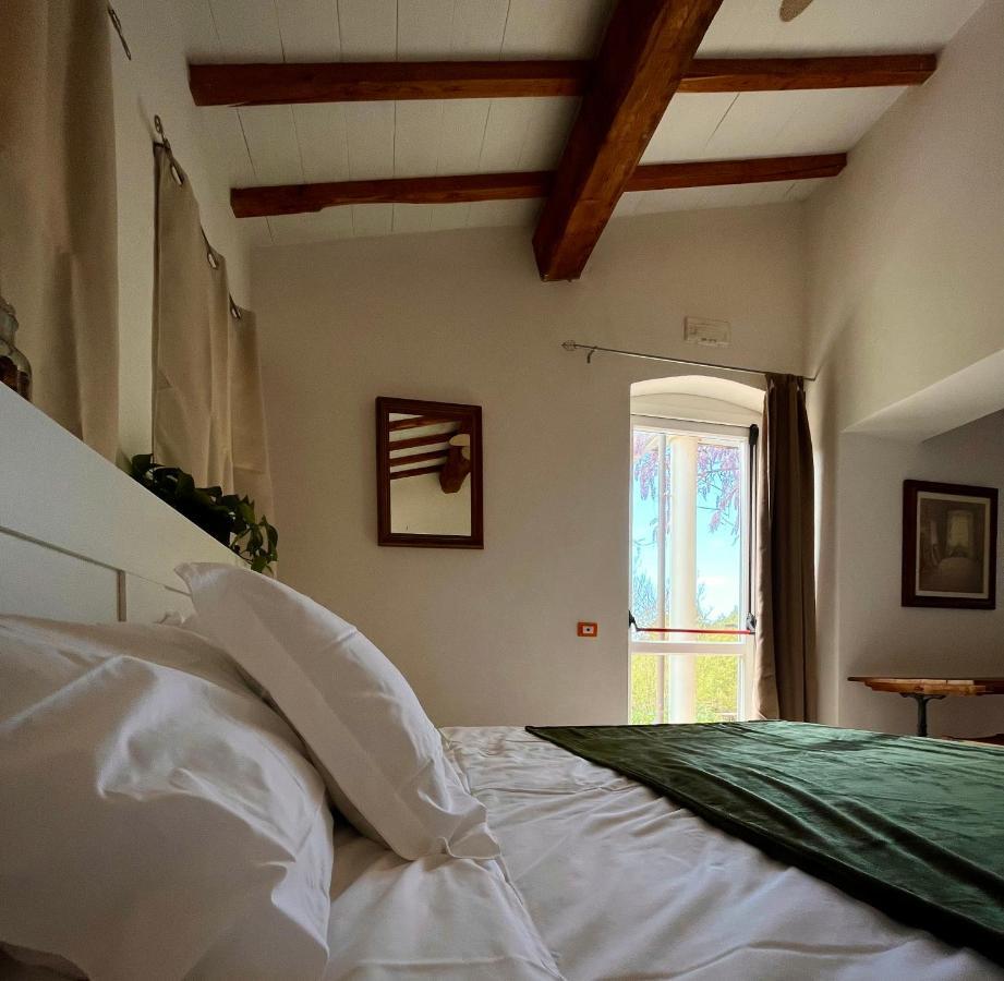 B&B La Fucinaia Pet Friendly Adults Only Campiglia Marittima Exteriör bild