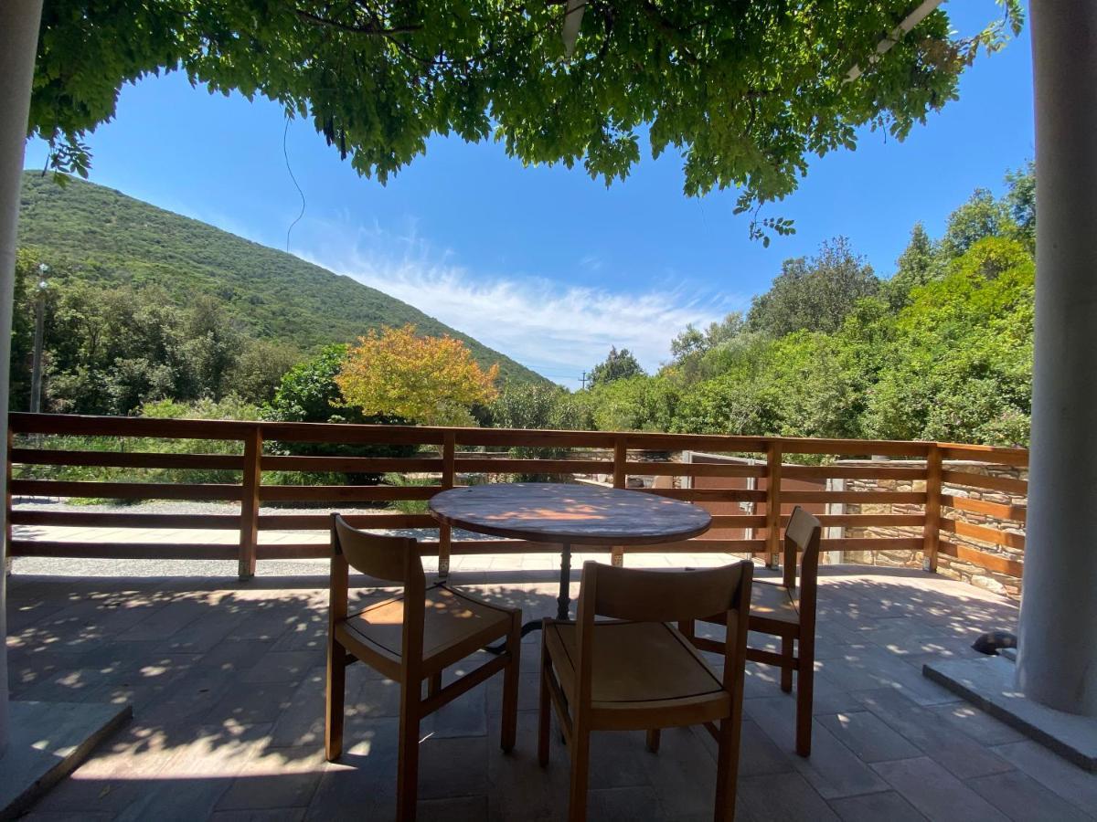 B&B La Fucinaia Pet Friendly Adults Only Campiglia Marittima Exteriör bild