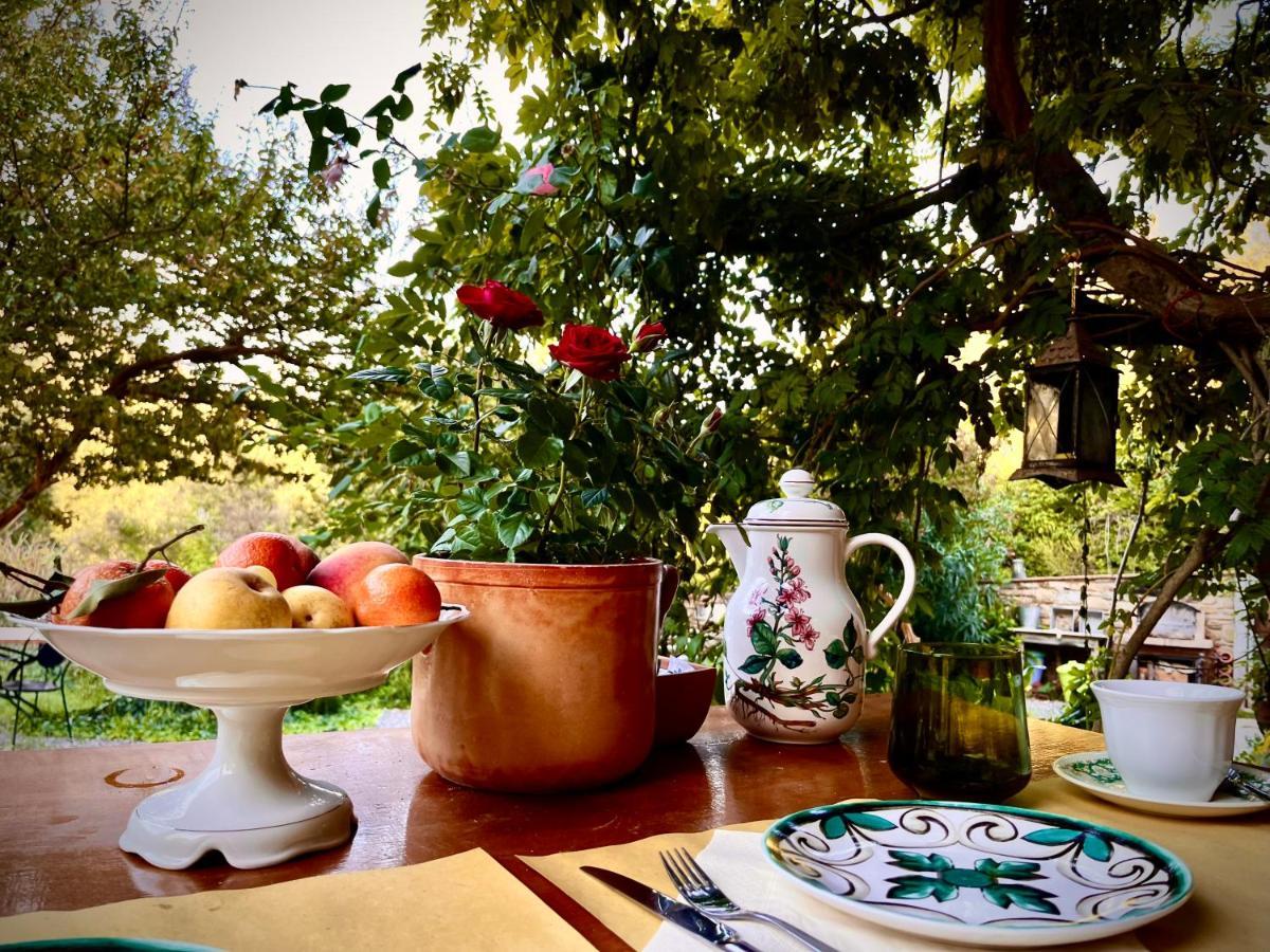 B&B La Fucinaia Pet Friendly Adults Only Campiglia Marittima Exteriör bild