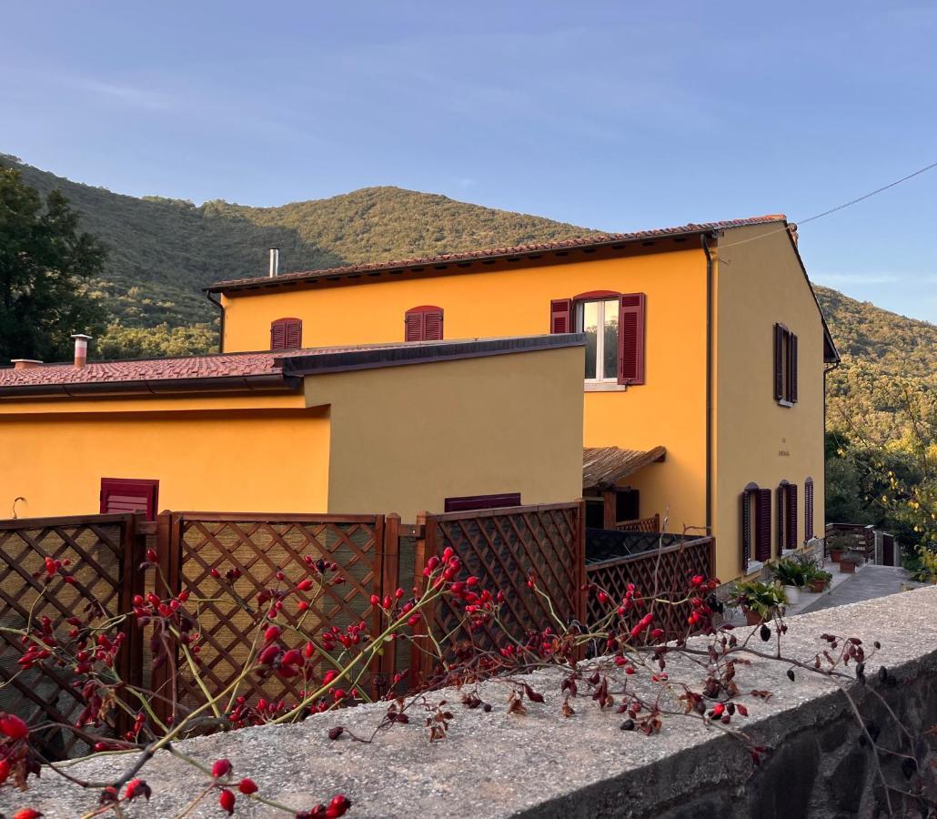 B&B La Fucinaia Pet Friendly Adults Only Campiglia Marittima Exteriör bild