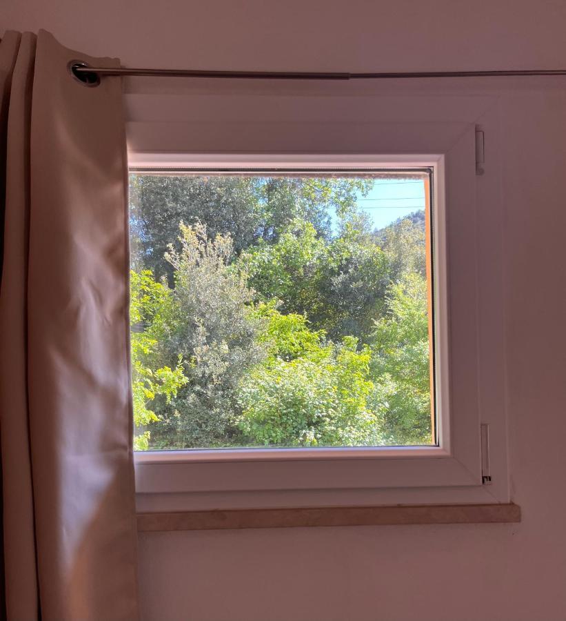 B&B La Fucinaia Pet Friendly Adults Only Campiglia Marittima Exteriör bild