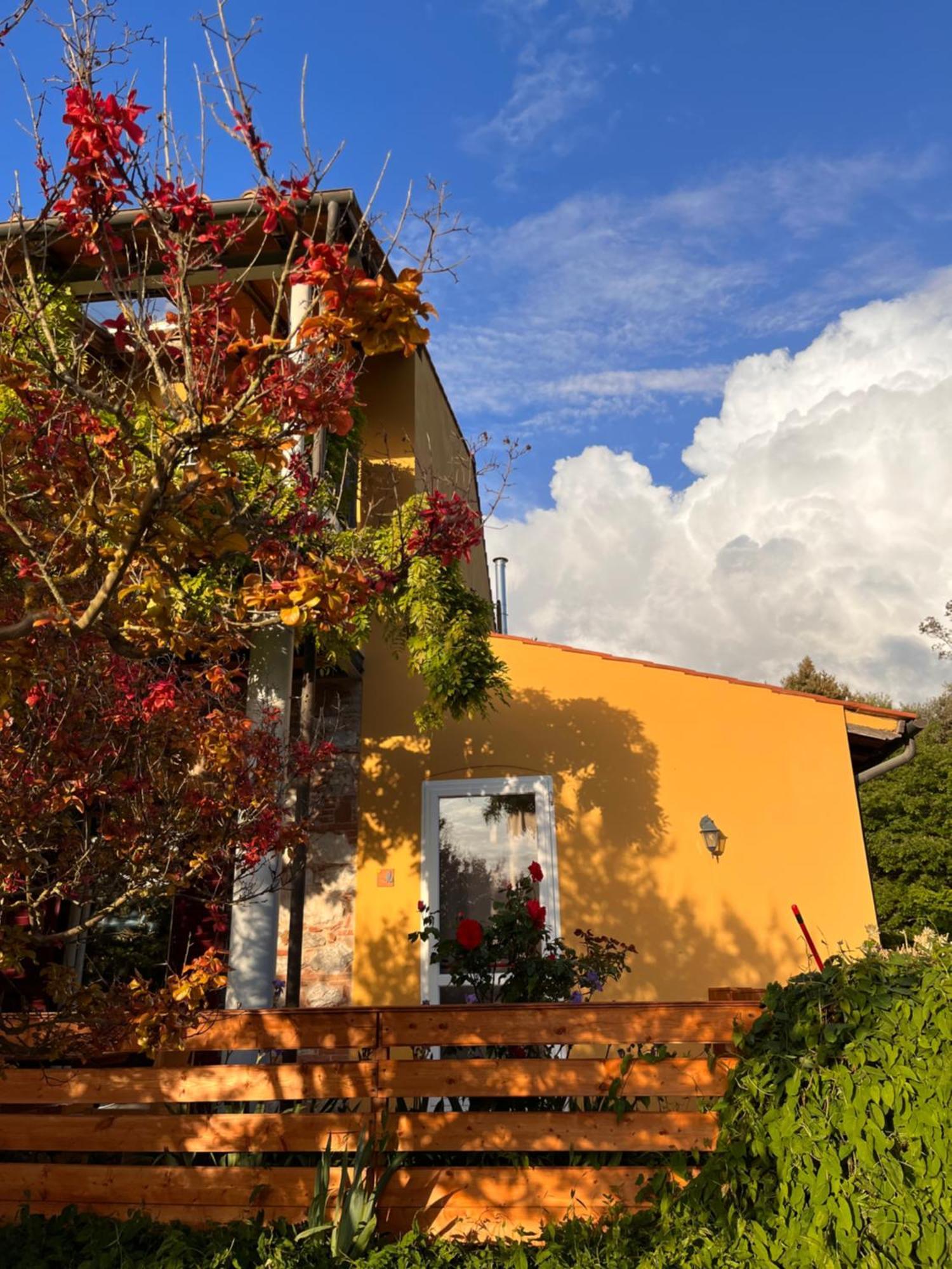 B&B La Fucinaia Pet Friendly Adults Only Campiglia Marittima Exteriör bild