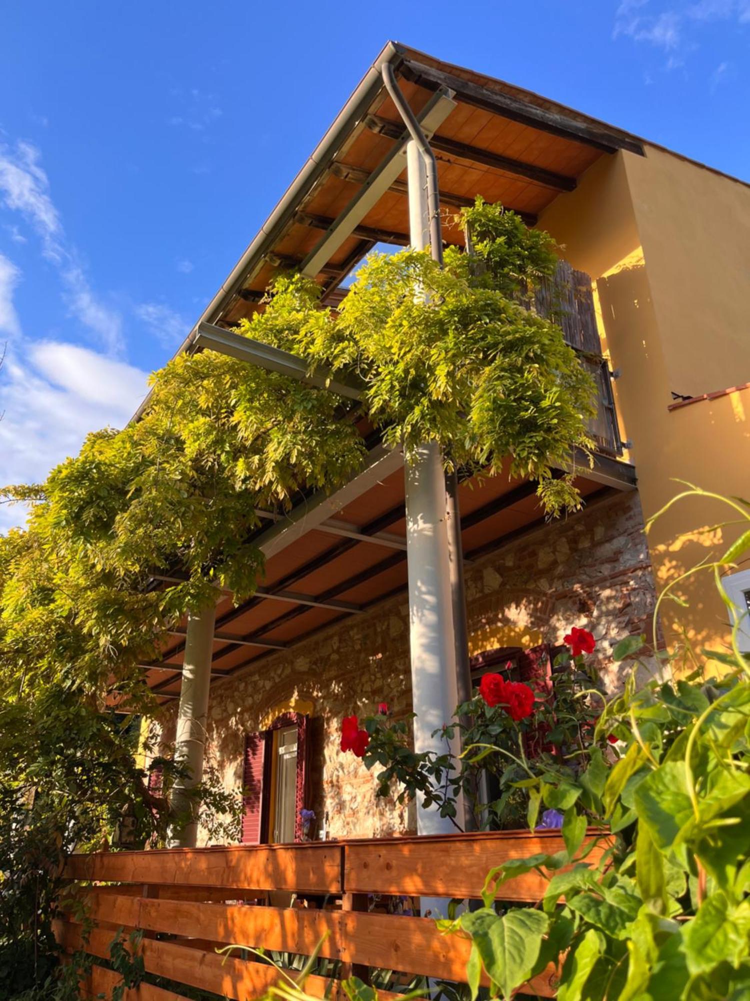 B&B La Fucinaia Pet Friendly Adults Only Campiglia Marittima Exteriör bild