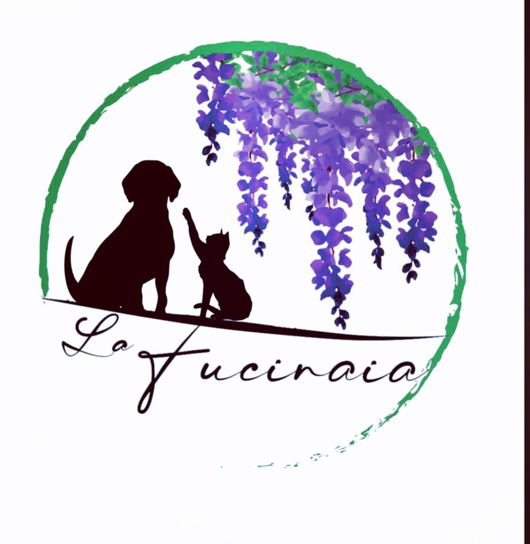 B&B La Fucinaia Pet Friendly Adults Only Campiglia Marittima Exteriör bild