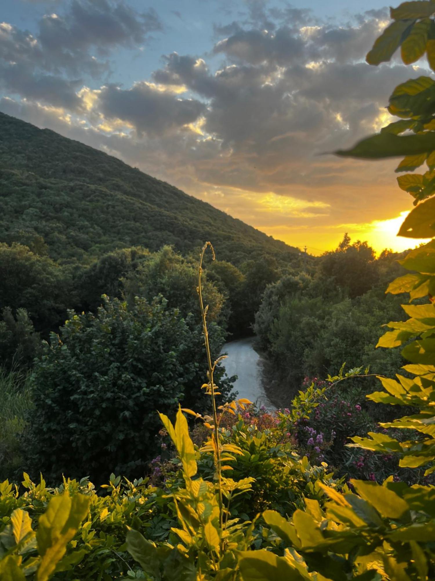 B&B La Fucinaia Pet Friendly Adults Only Campiglia Marittima Exteriör bild