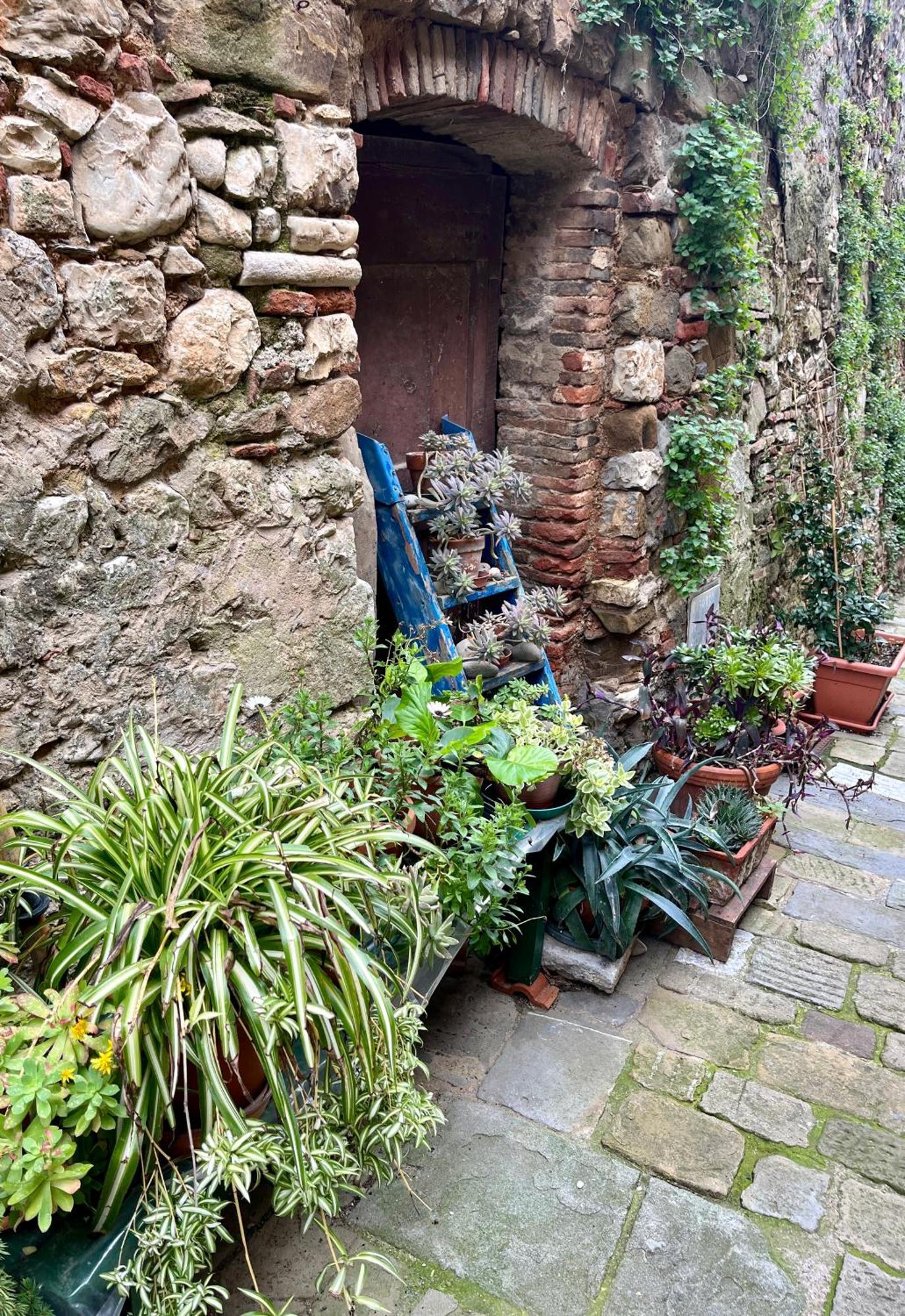 B&B La Fucinaia Pet Friendly Adults Only Campiglia Marittima Exteriör bild