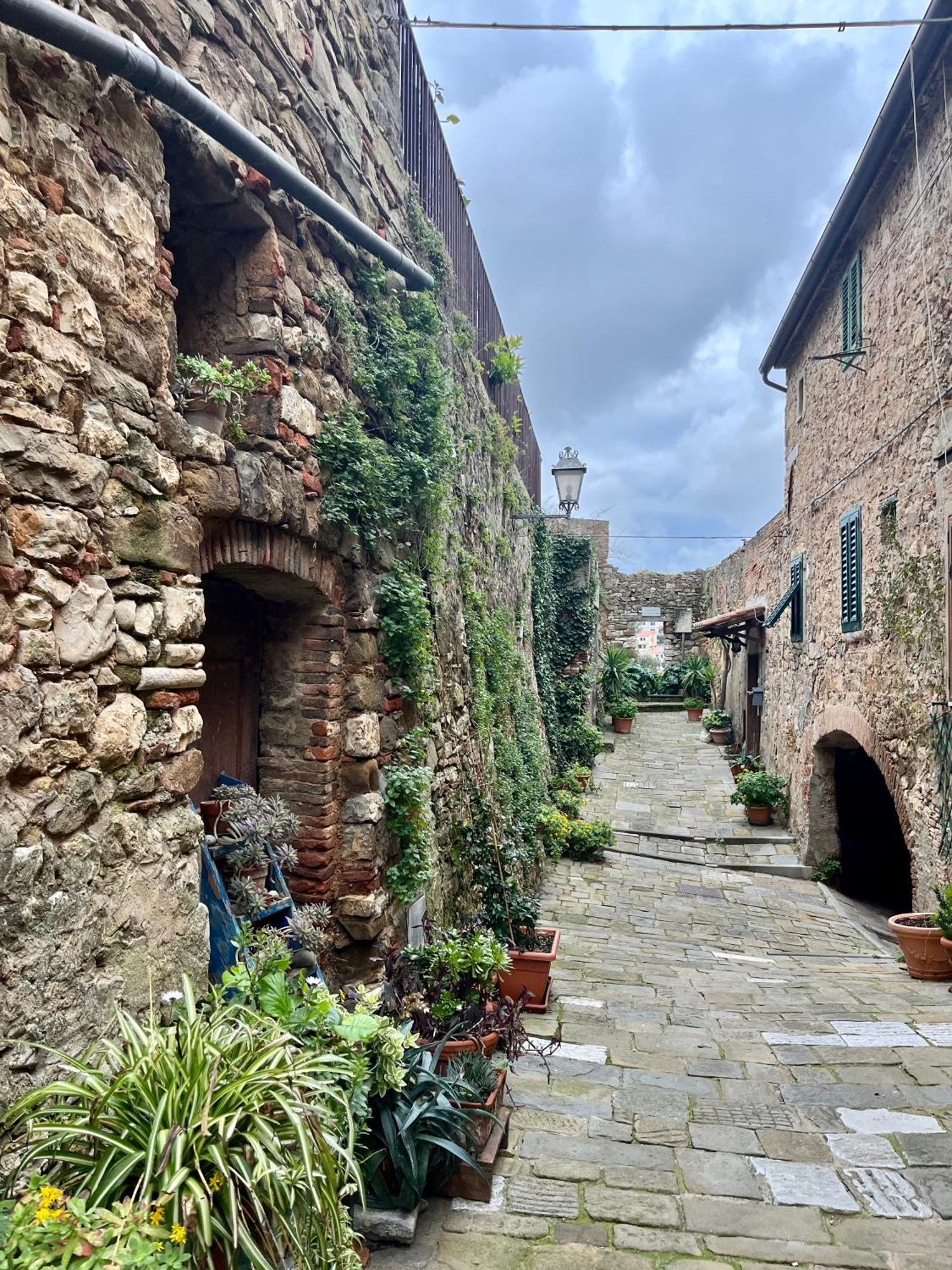 B&B La Fucinaia Pet Friendly Adults Only Campiglia Marittima Exteriör bild