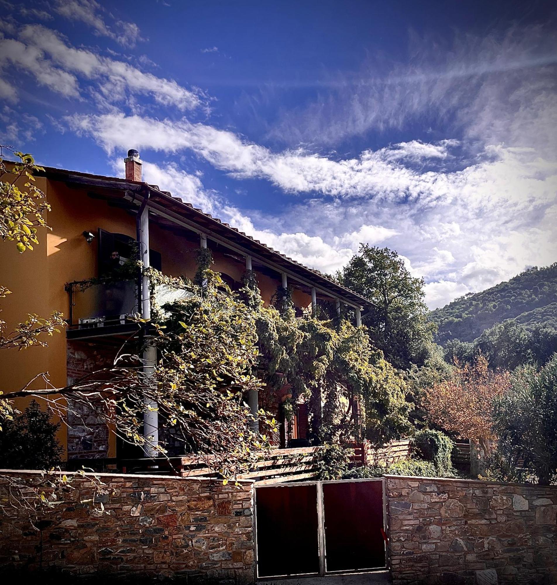 B&B La Fucinaia Pet Friendly Adults Only Campiglia Marittima Exteriör bild