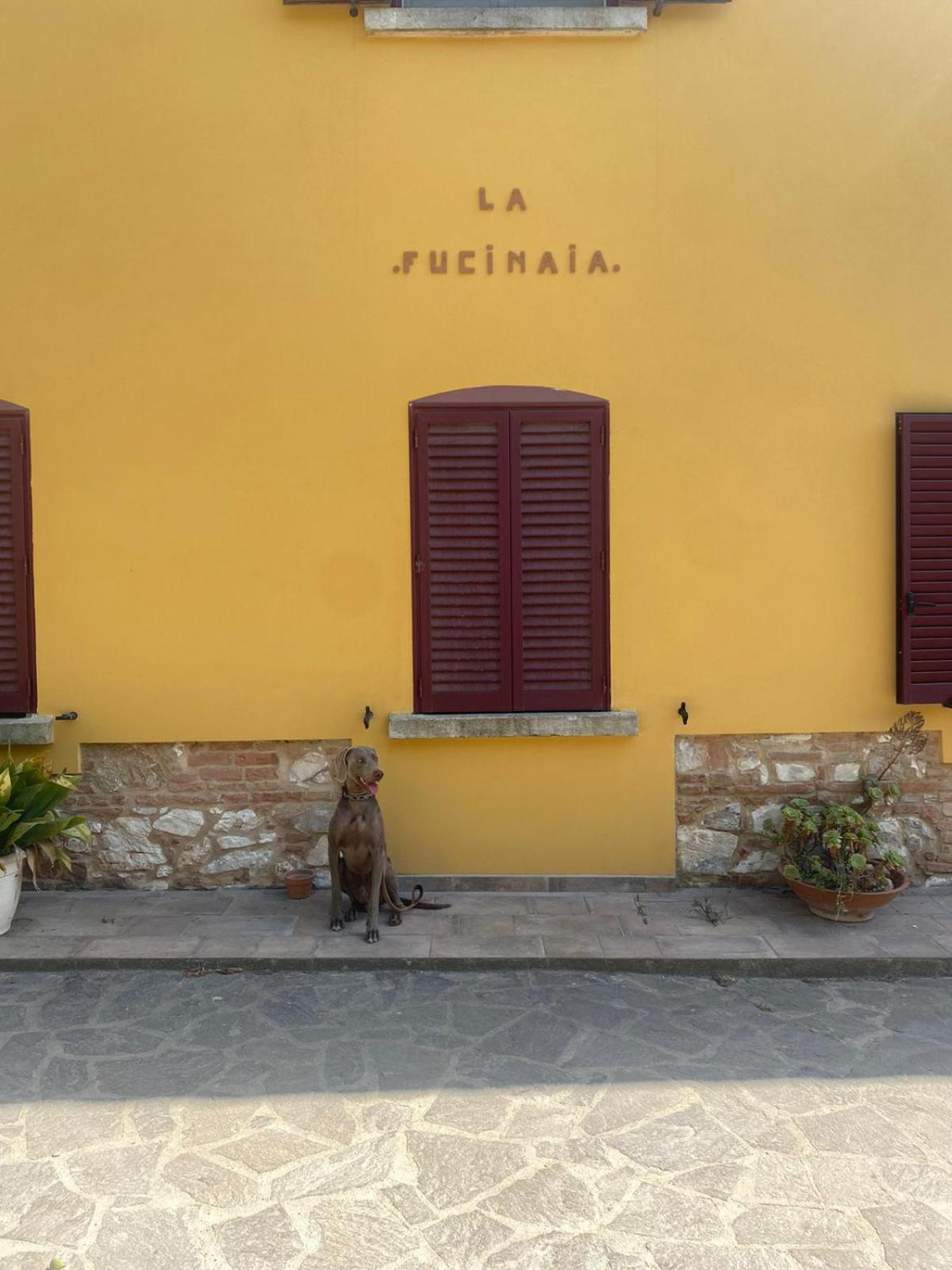 B&B La Fucinaia Pet Friendly Adults Only Campiglia Marittima Exteriör bild