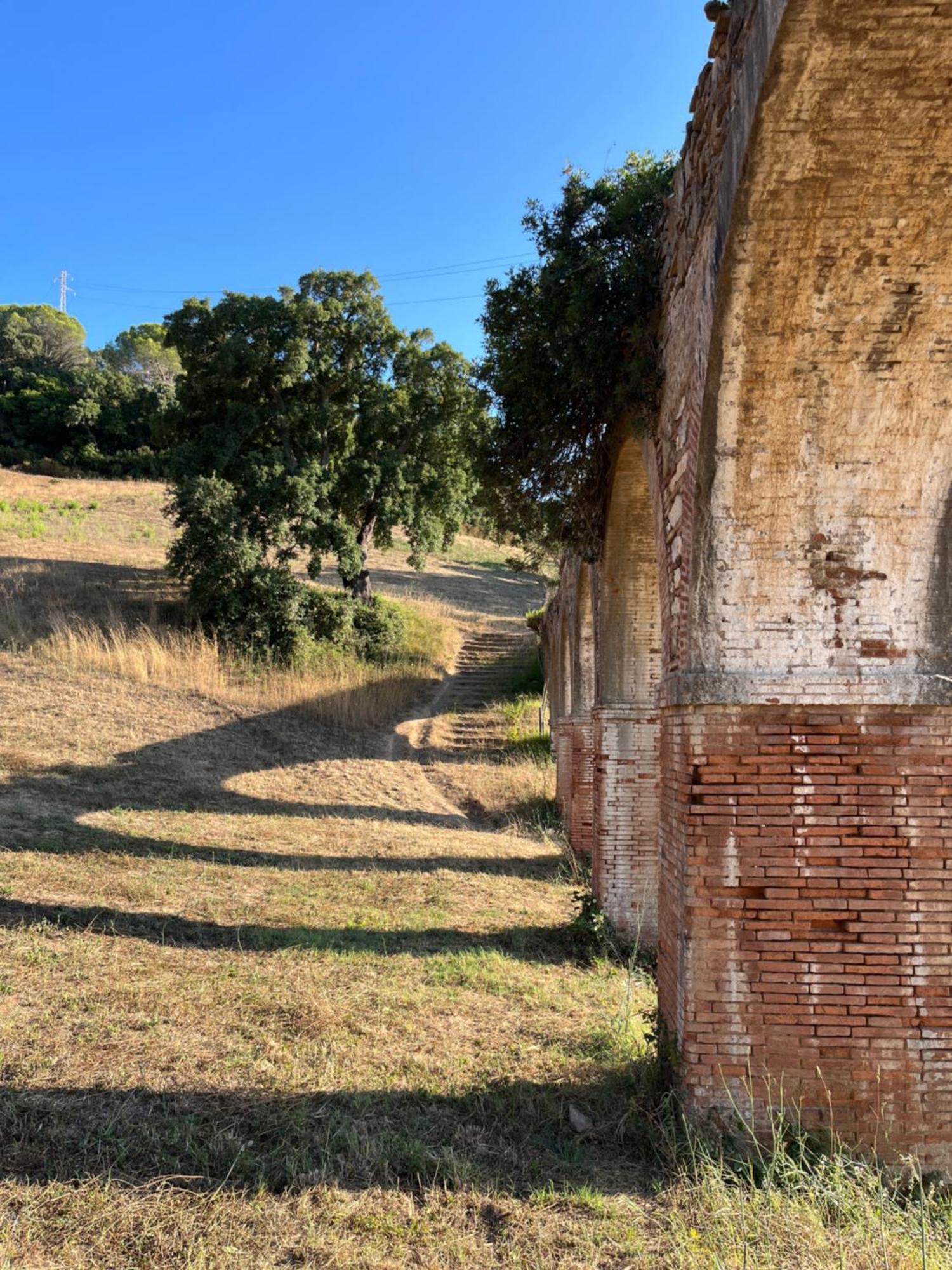 B&B La Fucinaia Pet Friendly Adults Only Campiglia Marittima Exteriör bild